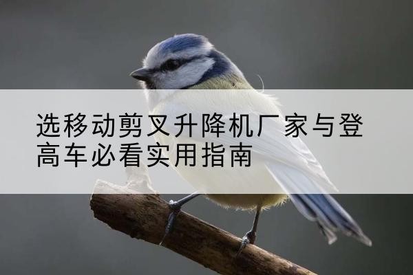 朝阳电动升降机厂家-选移动剪叉升降机厂家与登高车必看实用指南