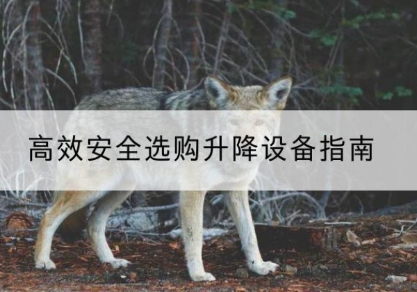 朝阳升降货梯厂家推荐-*安全选购升降设备指南